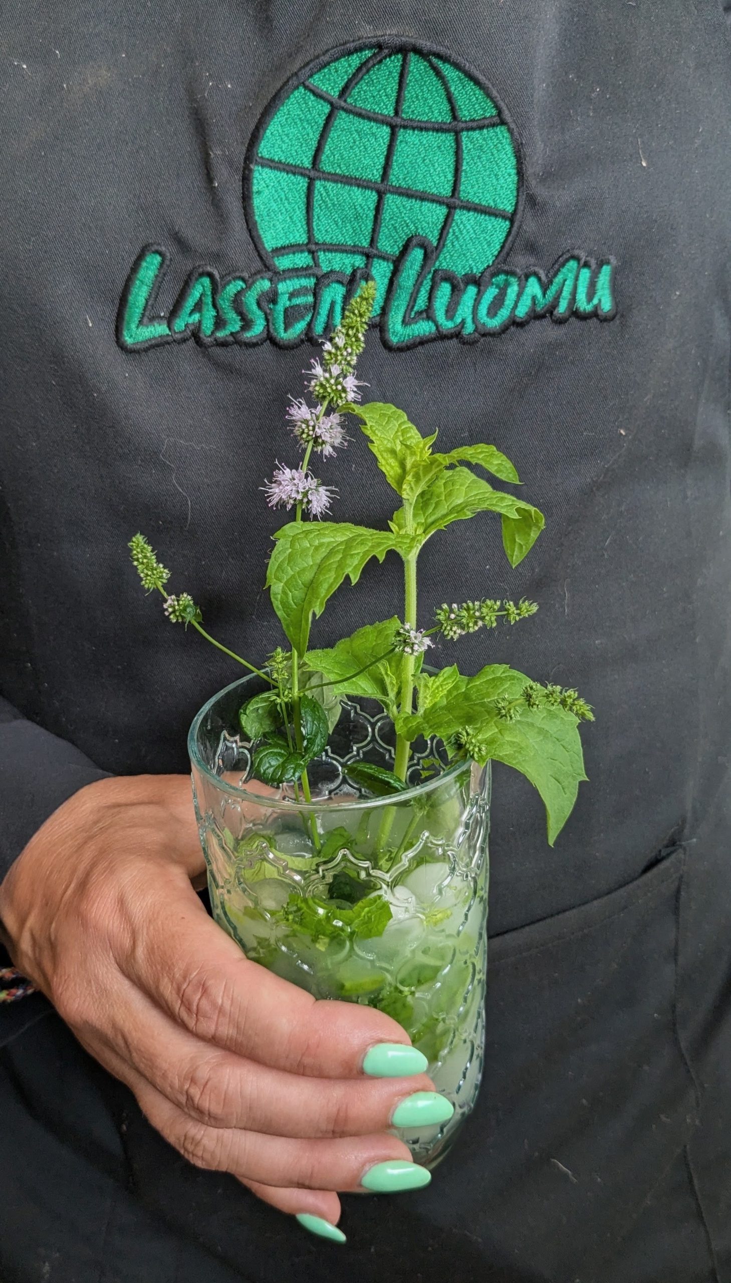 Minttuinen jäähilejuoma